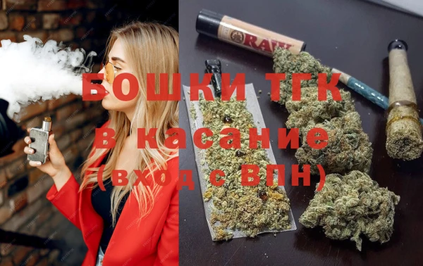 индика Каменск-Шахтинский
