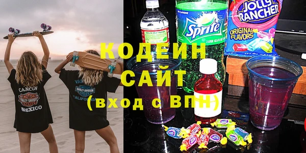 индика Каменск-Шахтинский