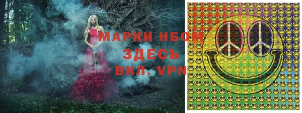 индика Каменск-Шахтинский