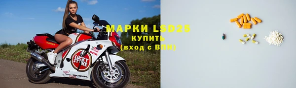 спиды Каменка