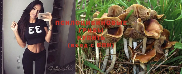 индика Каменск-Шахтинский