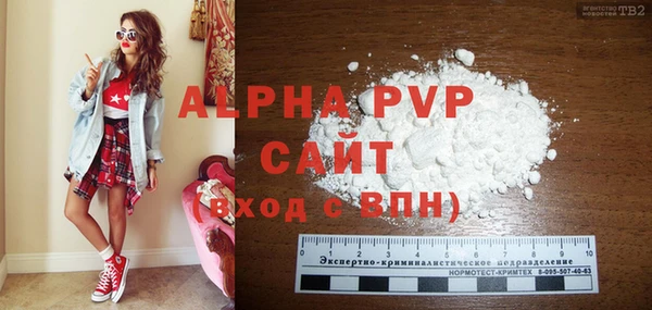 индика Каменск-Шахтинский