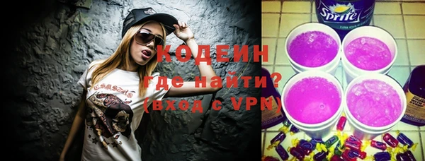 индика Каменск-Шахтинский