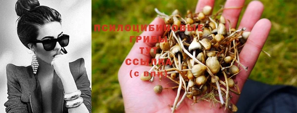 сатива Шарыпово