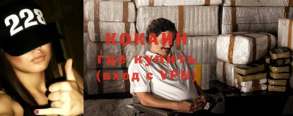 спиды Каменка