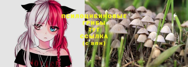 спиды Каменка