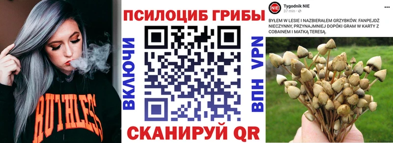 Галлюциногенные грибы прущие грибы  Щигры 