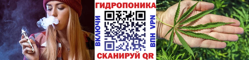 где купить наркотик  Щигры  Бошки Шишки план 